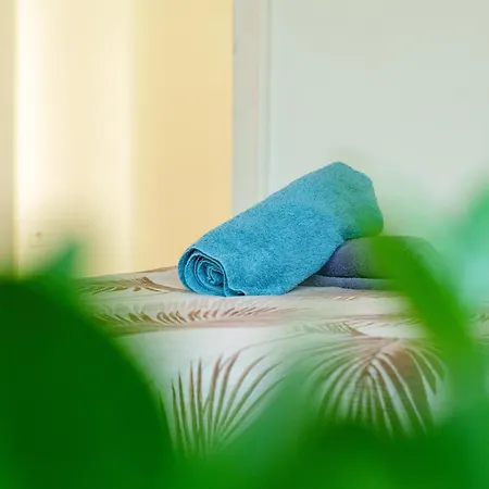 Moderne Avec Hammam Prive * Strasbourg